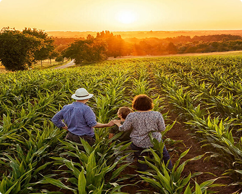 Food Safety Modernization Act Compliance